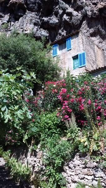 Chez Lucie : Maison Troglodyte - Cotignac