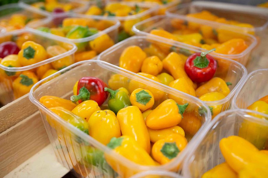 Le potager du Paradis