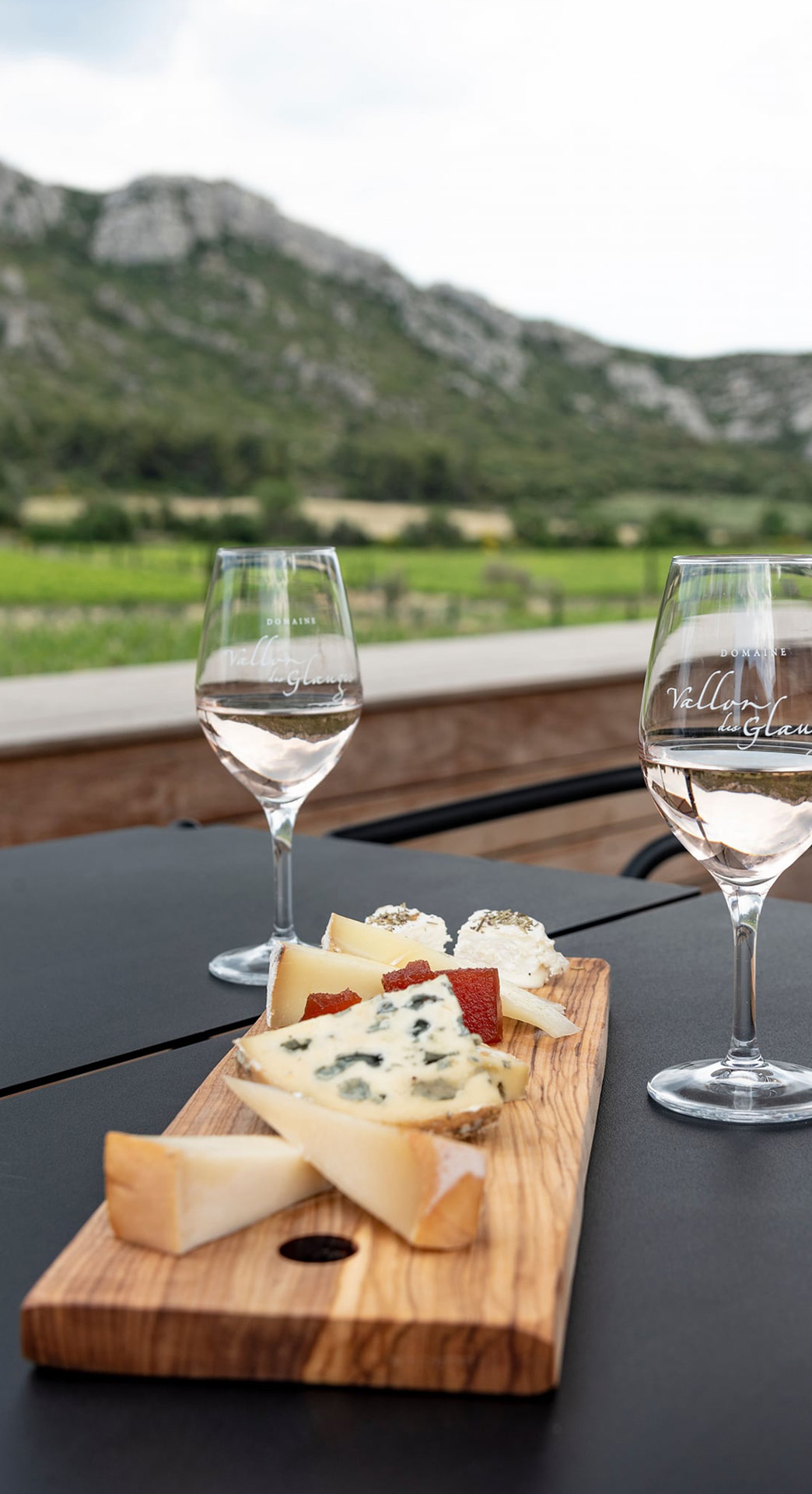 La Terrasse du Vallon des Glauges, Eyguières - photo 8
