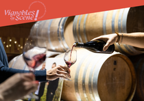 Portes ouvertes au Domaine Pichon_Chavanay