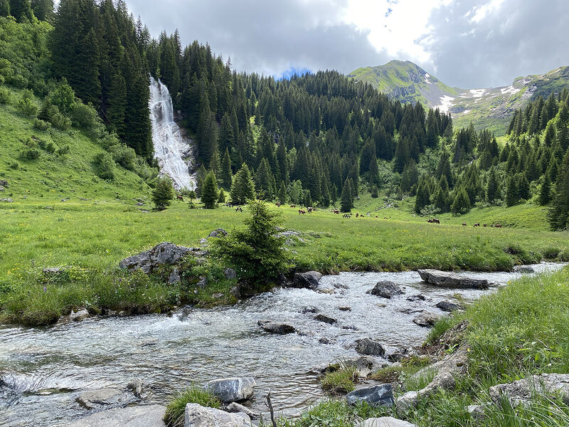 Le Refuge des Brochaux