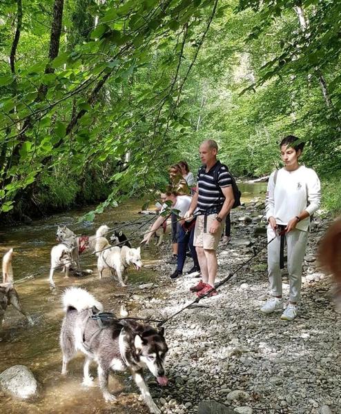 Canirandonnée avec husky - séance encadrée_Vailly