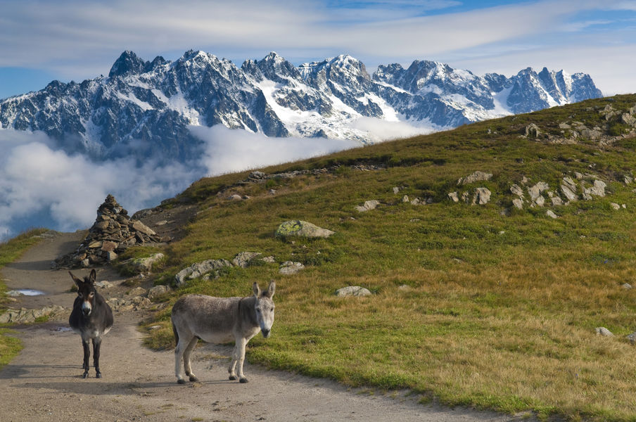Montenvers - Plan de l'Aiguille