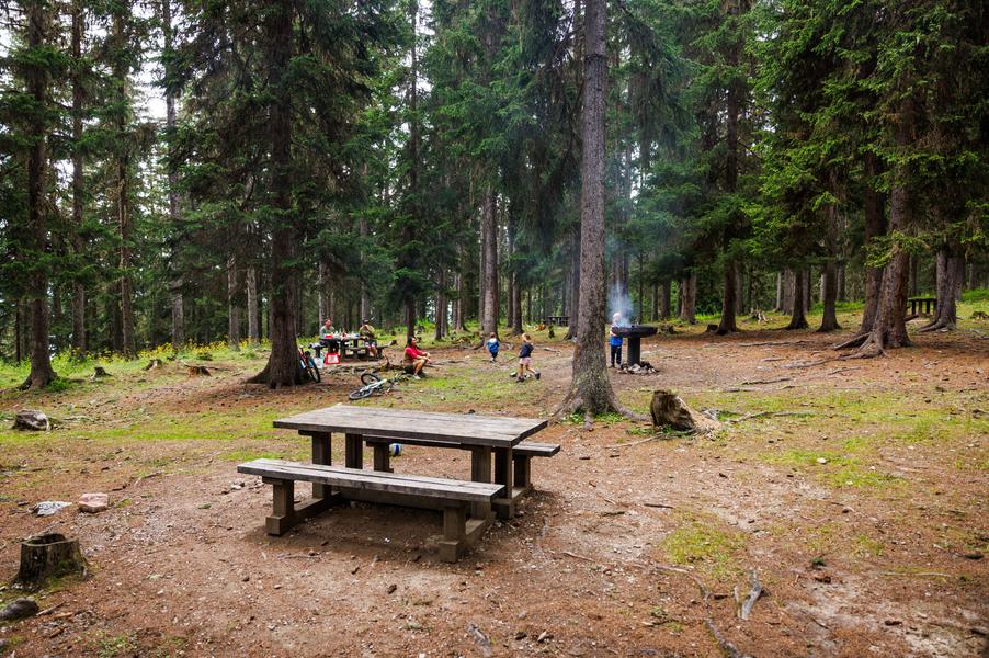 Aire de pique-nique du Fontany_Méribel