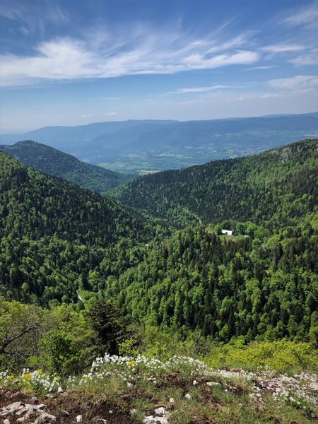 Trail sur les crêtes de Sur Lyand dans le Massif du Grand Colombier
