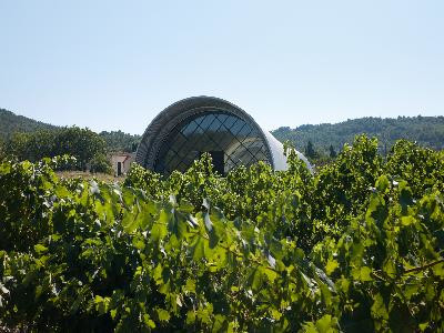 Domaine Château La Coste - photo 4