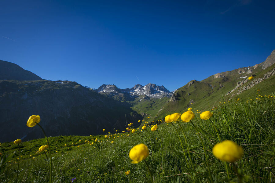 Itinéraire VAE - La vallée des Avals - Courchevel