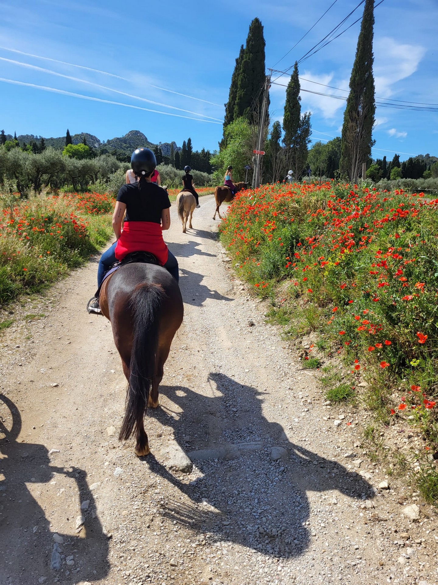 Chev'Alpilles