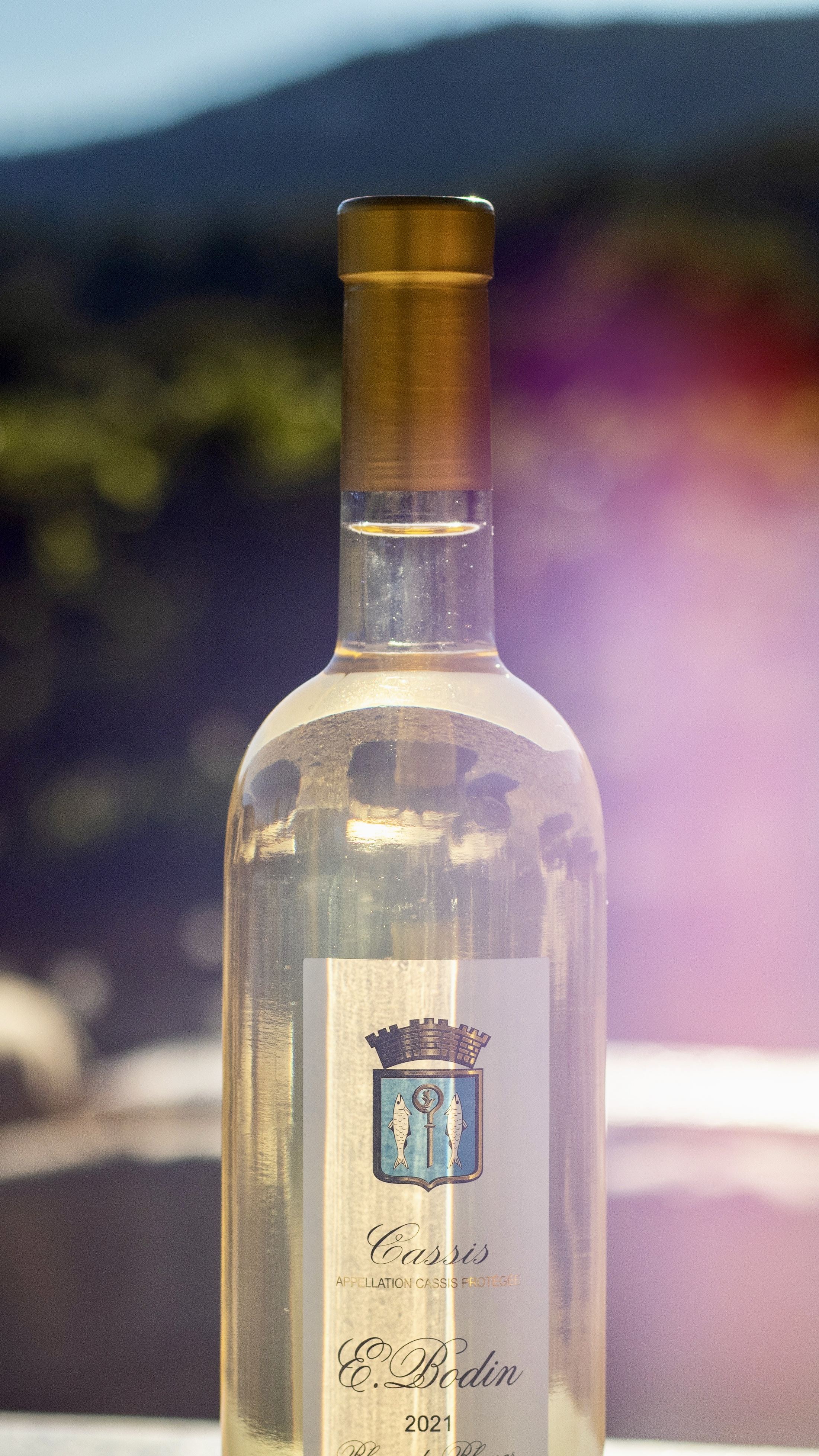 Domaine Cassis Bodin, Cassis - photo 3