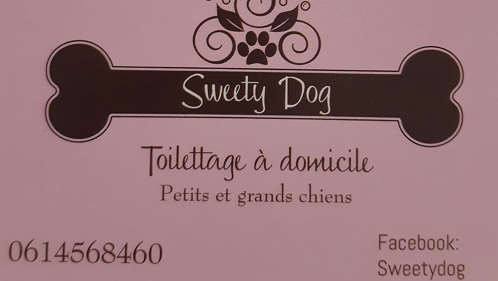 Sweety Dog