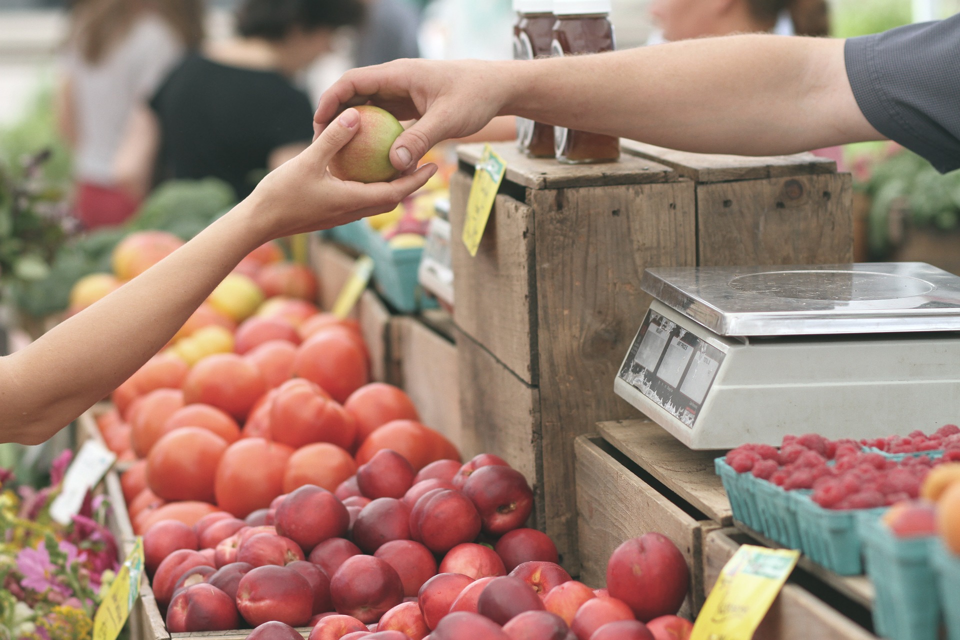 Marché de Saint-vivien-de-médoc