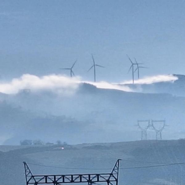 Le pré bleu de Marnand