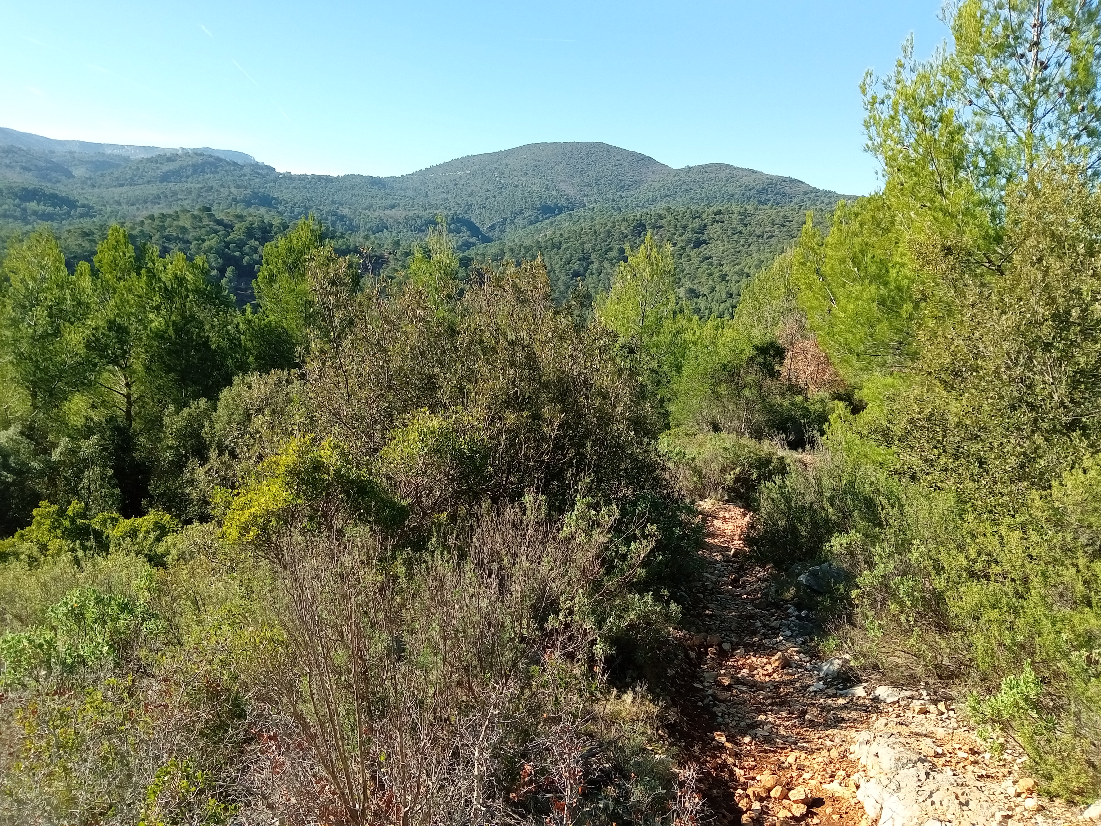 La panoramique de Saint-Zacharie