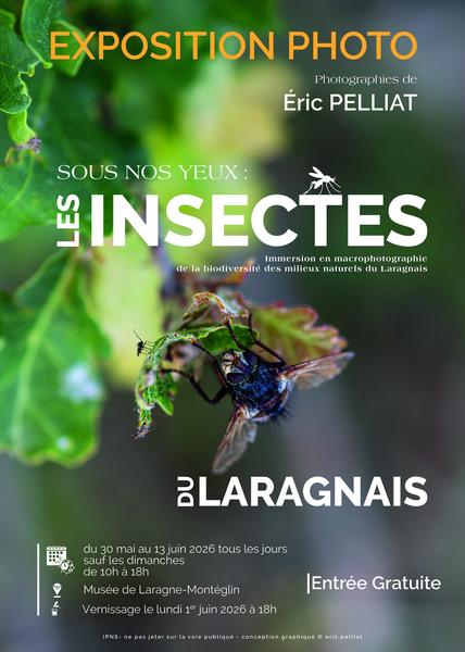 Exposition photos par Eric Pelliat “Sous nos yeux : les insectes”