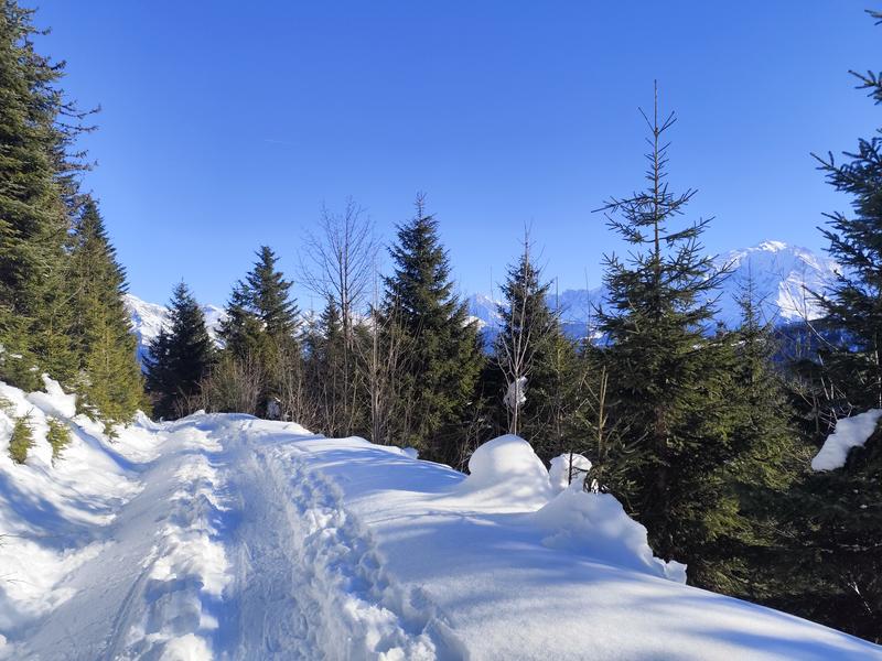 Boucle de l'Avenaz - sentier raquettes_Cordon