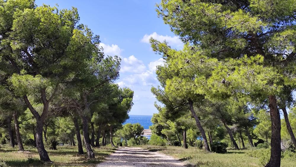 Boucle des vestiges militaires_Martigues