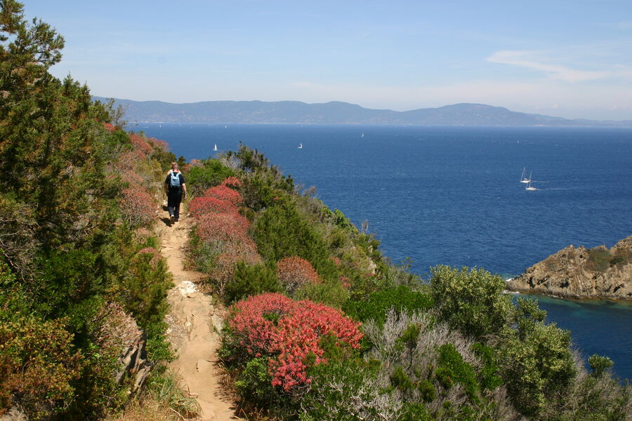 Sentier des plantes