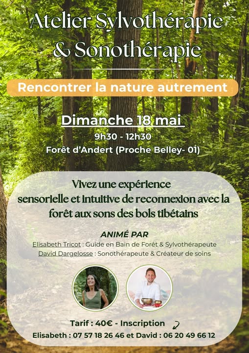Atelier sylvothérapie et sonothérapie_Andert-et-Condon