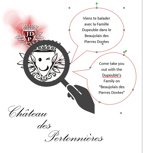 Balade dans les vignes