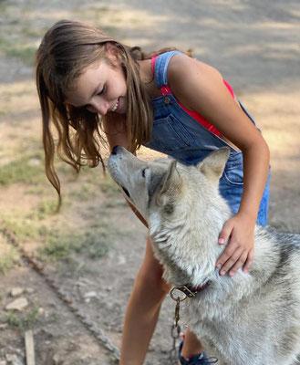 Le Mercredi des enfants : A la découverte des chiens de Traineaux