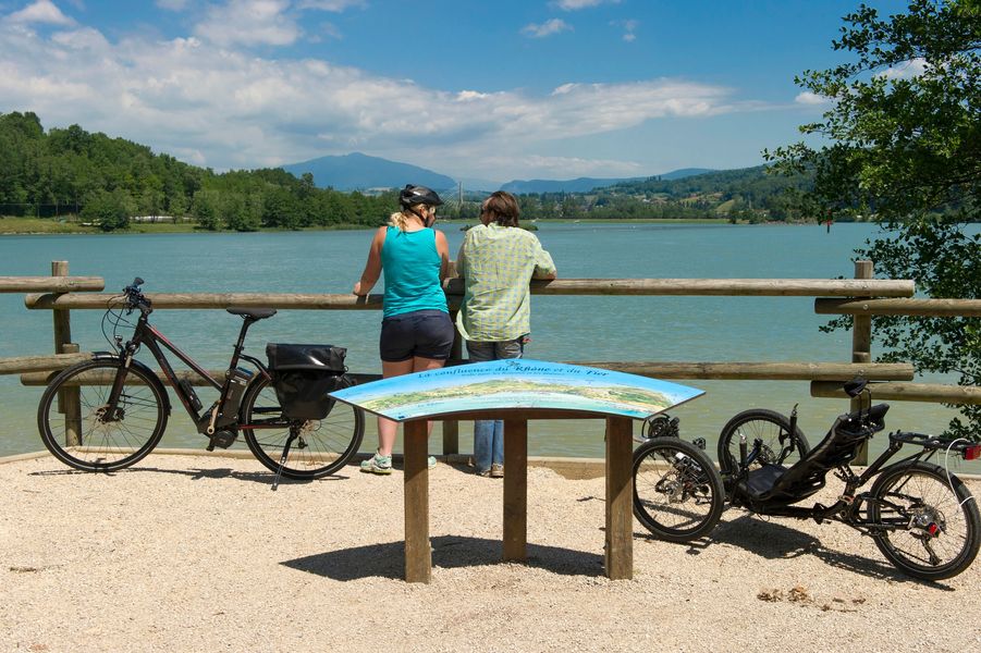 balade ornithologique