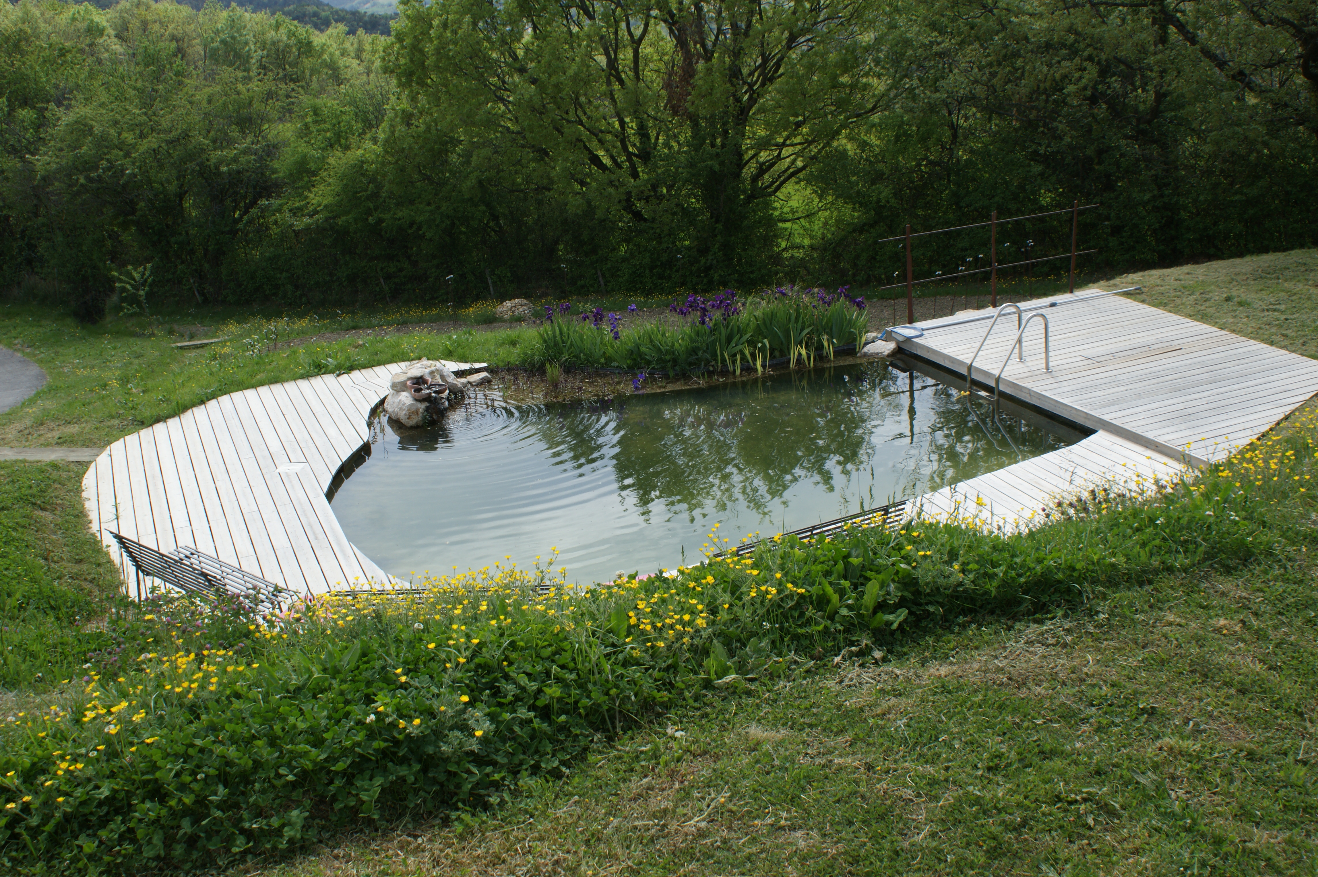l'espace de baignade naturelle