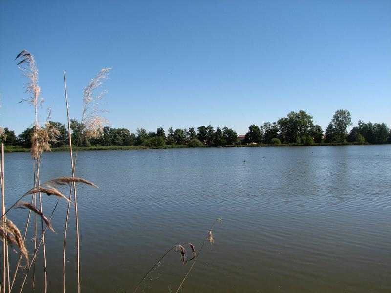 Ma(r)ons-nous - Les RDV Nature du Département_Saint-Just Saint-Rambert