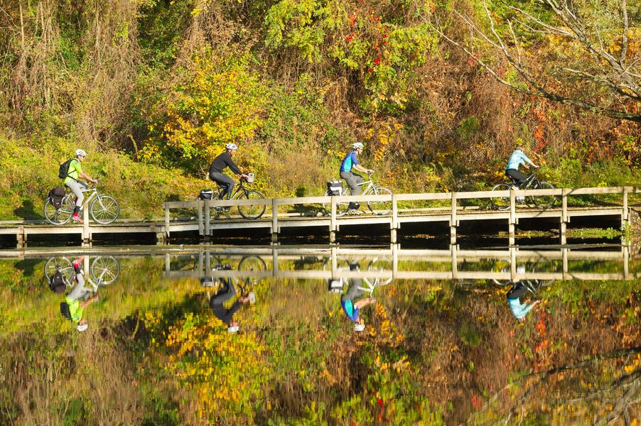Passerelle vélo sur ViaRhôna près d'Andancette