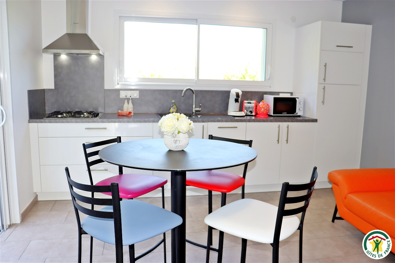Pièce à vivre : salle à manger, cuisine ouverte et salon