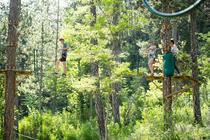 Parcours acrobatiques en hauteur, Parcours Découverte