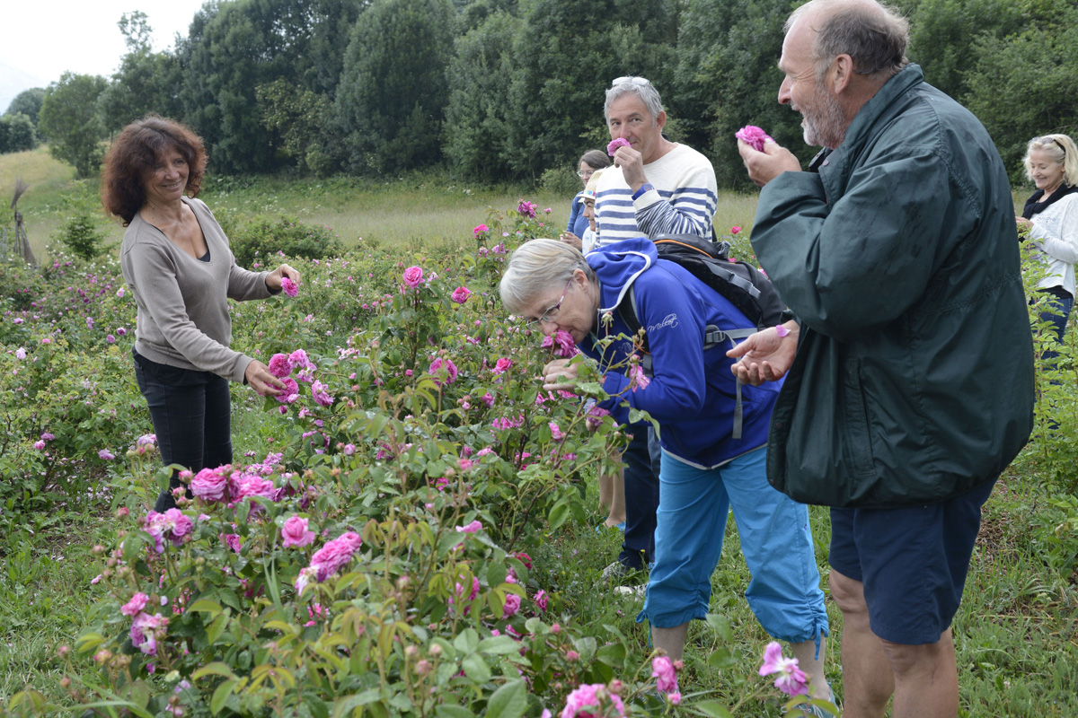 Visite des Jardins des Hautes Terres, Chaillol, Champsaur