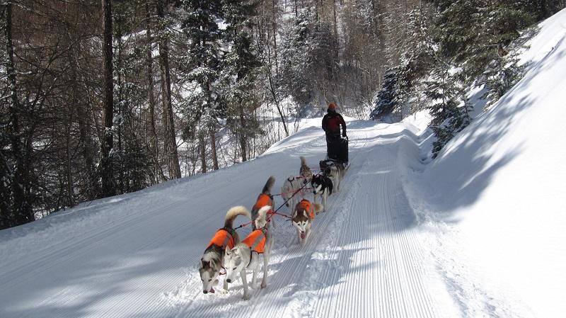 La Tribu Rando - © LTR