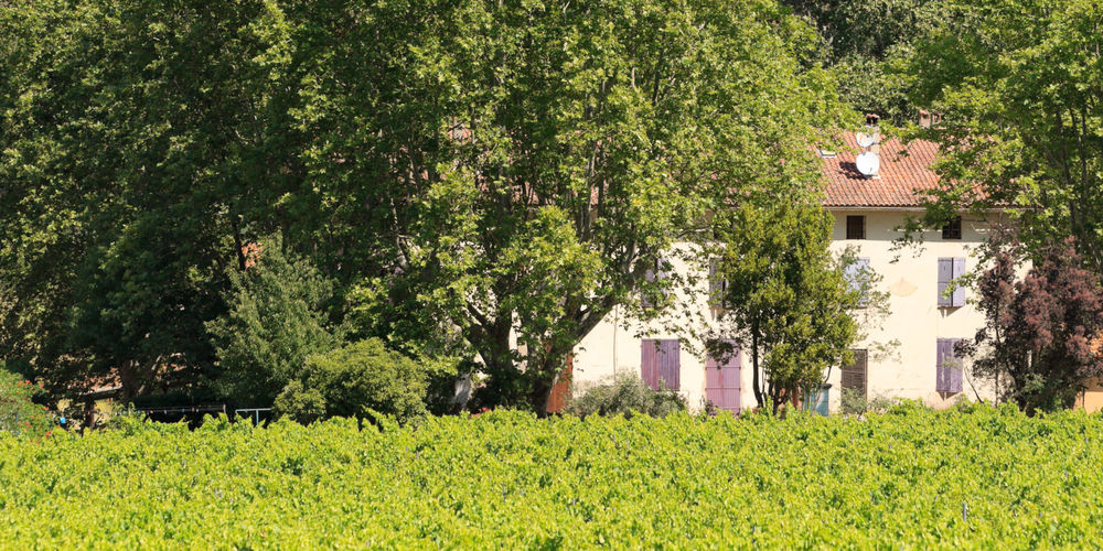 Domaine de la Portanière