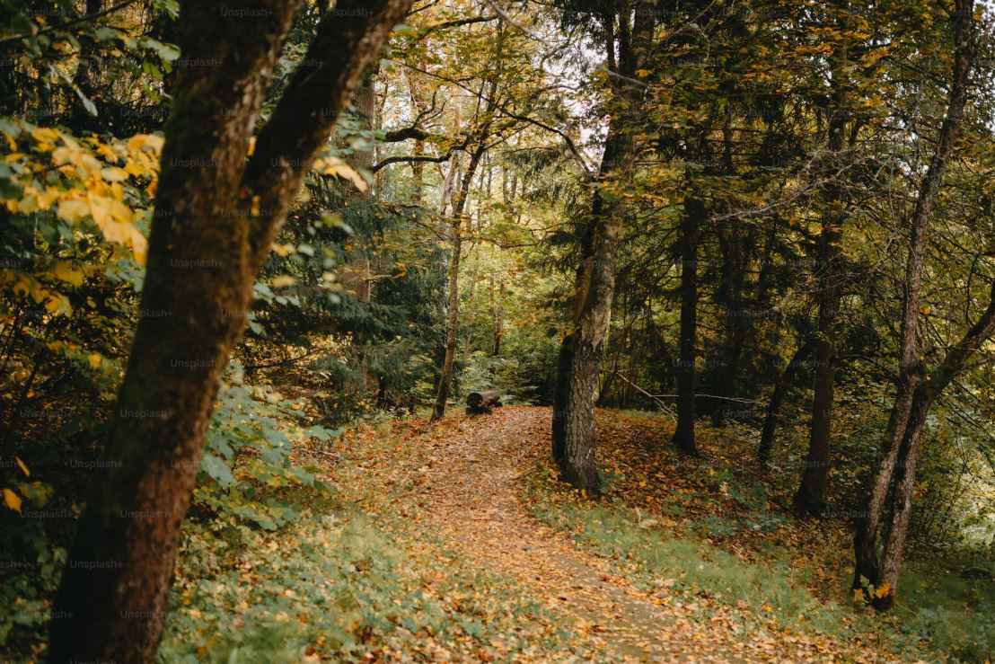 Camping Aire Naturelle de Fontliesse_Champtercier