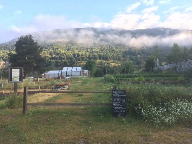 Image jardin montagnard VC Bramans Cborot