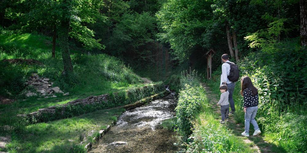 Vignoble de Journans - Belvédère du Mont Rignat_Journans