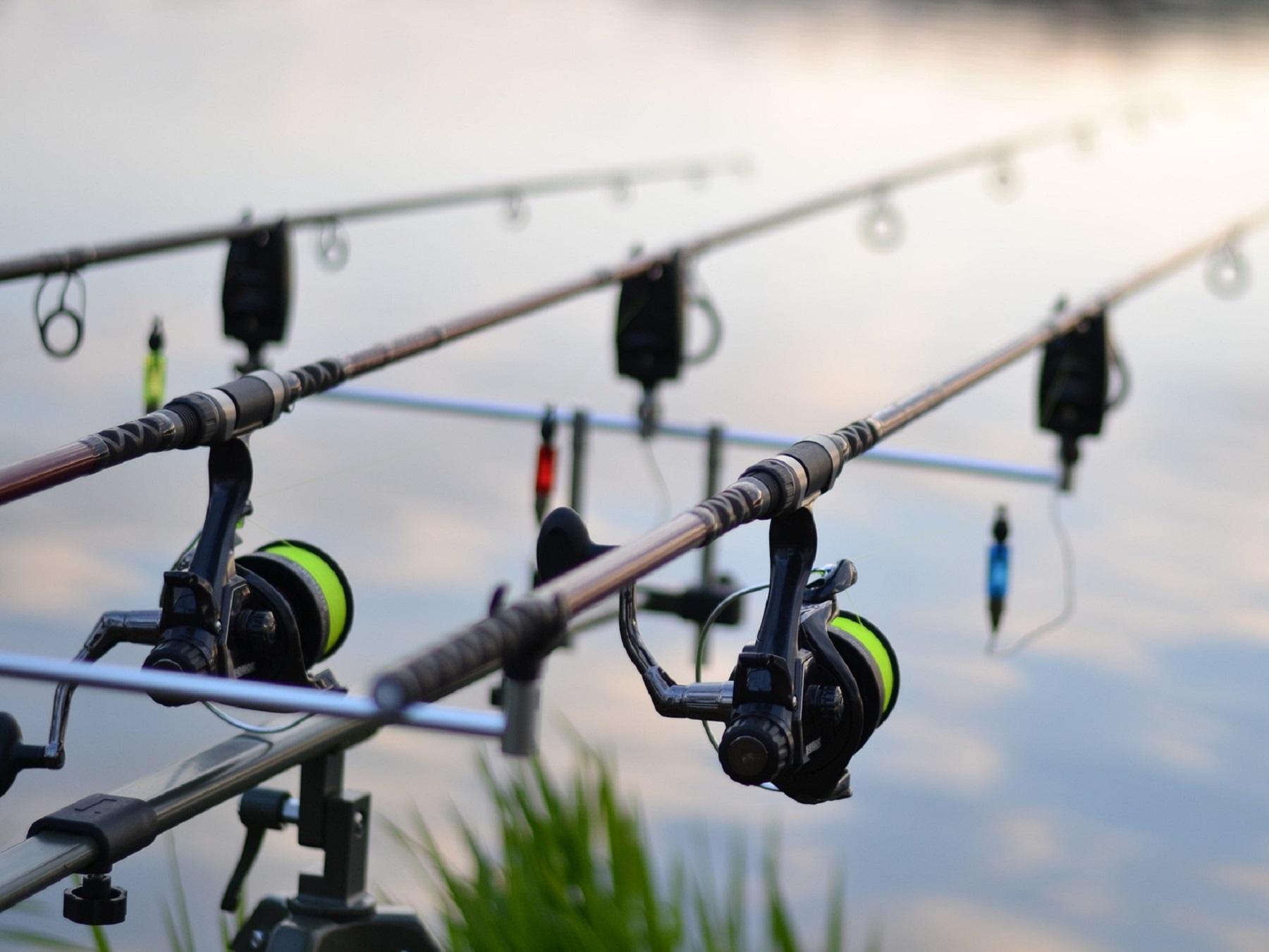 Parcours pêche de la carpe de nuit - Canal de Charras