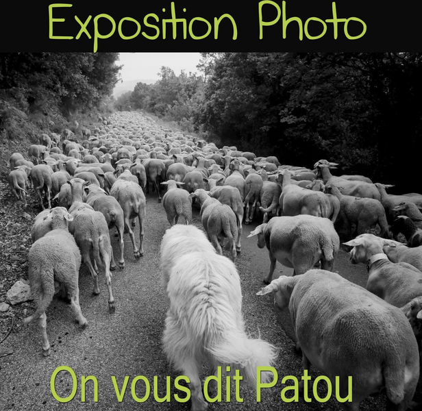 Exposition : On ne vous dit Patou