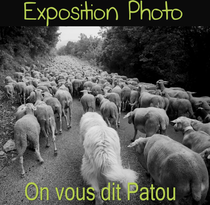 Exposition : On ne vous dit Patou