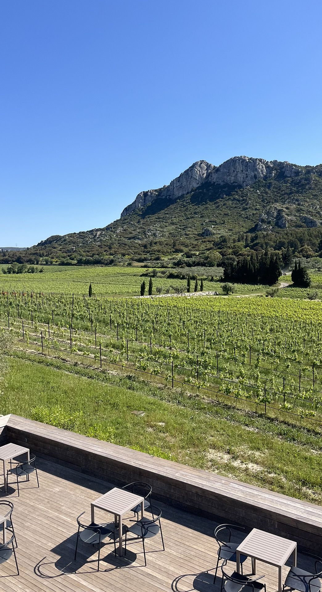 La Terrasse du Vallon des Glauges - photo 4