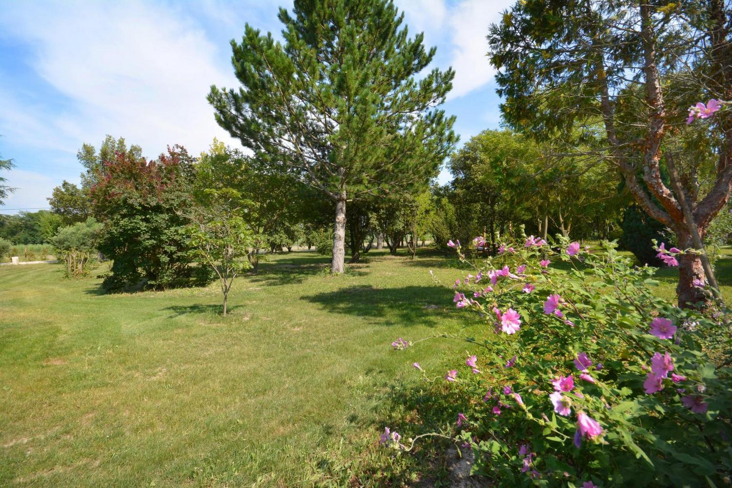 Mas des Princes, Noves - photo 18