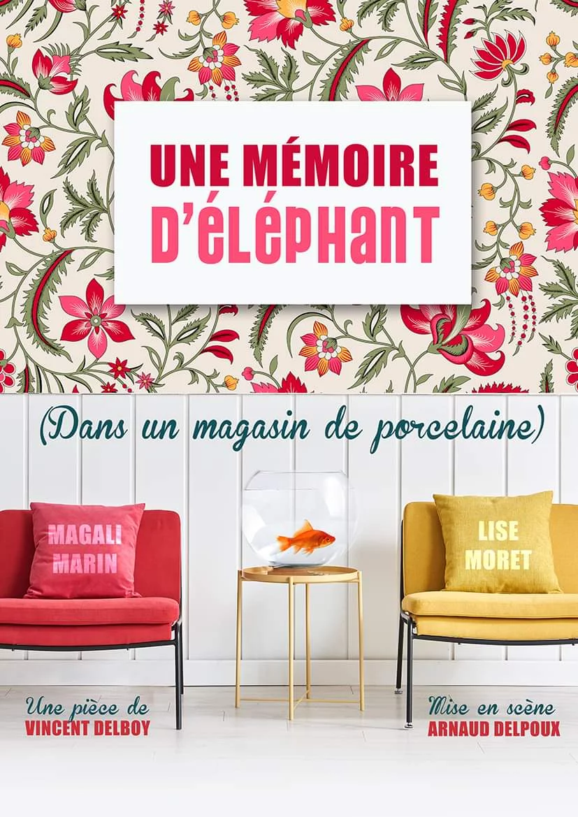 UNE MEMOIR D'ELEPHANT DANS UN MAGASIN DE PORCELAINE_Grenoble