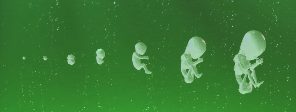 Créatures de substitution_Aix-en-Provence