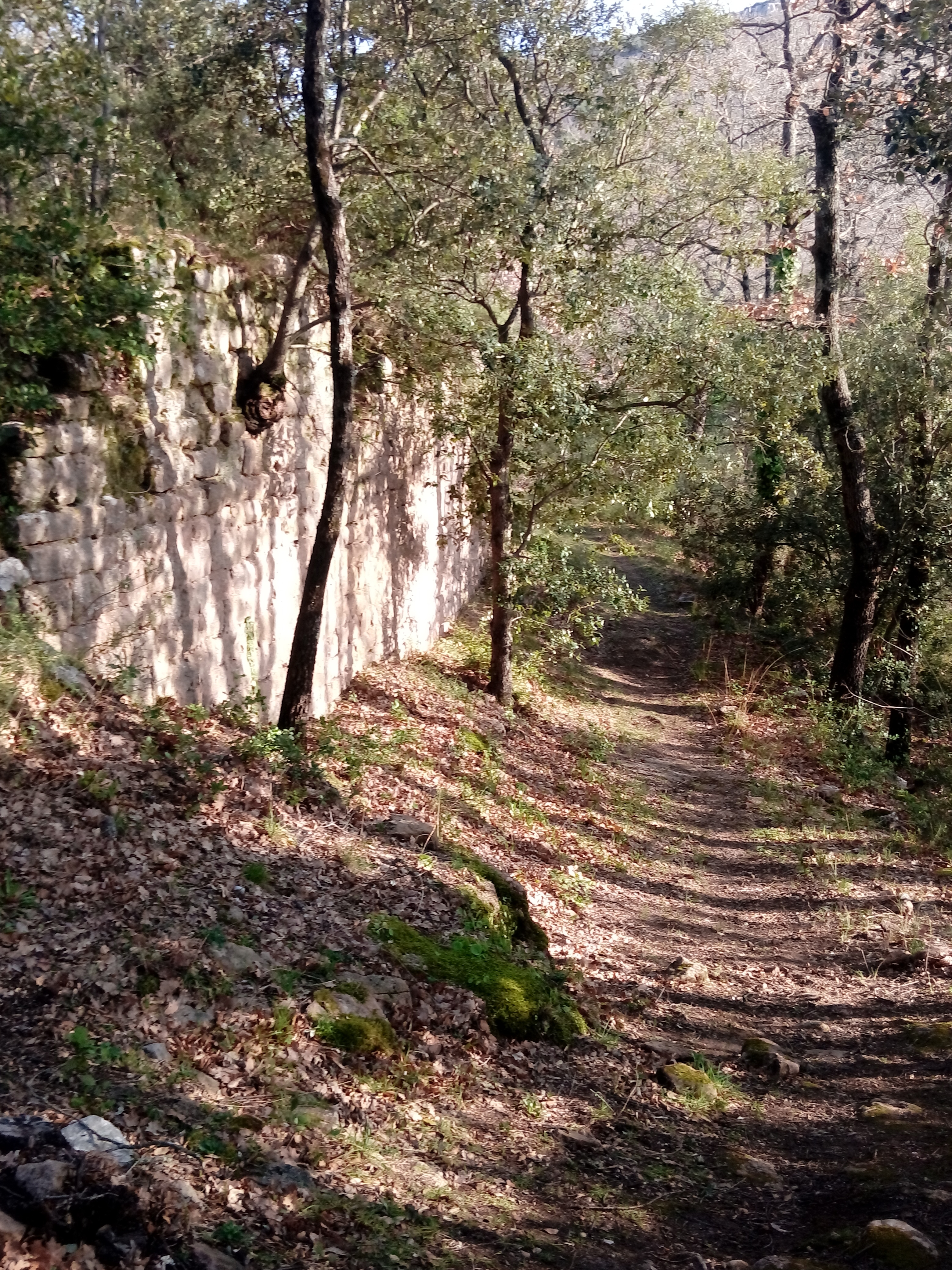 Randonnée "Le Castrum Saint-Michel", Trets - photo 7