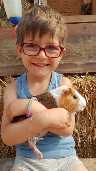 un enfant avec un cochin d'inde dans les bras