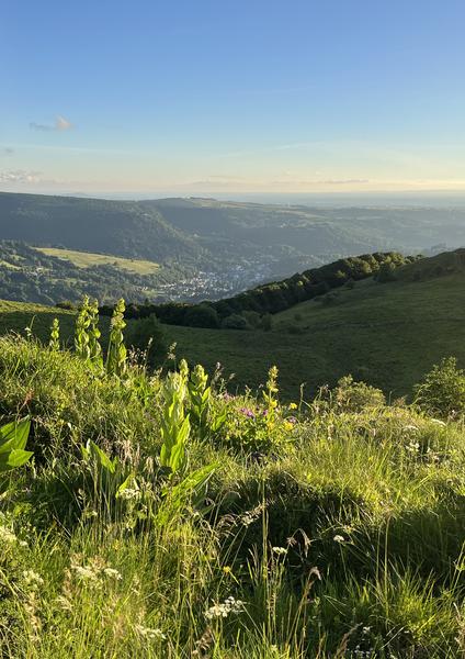 Montagne sauvage, randonnée accompagnée