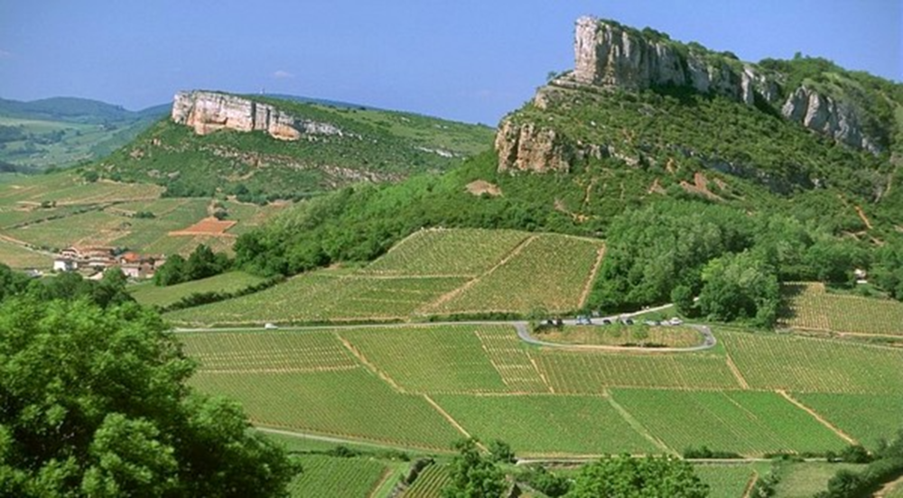 Balade à gyropode autour du Château de Chasselas