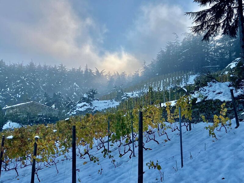 Domaine Johann Michel