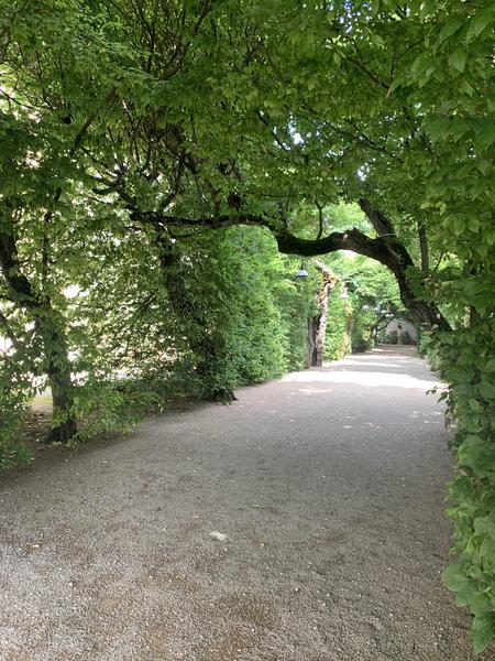 L'allée des Charmilles