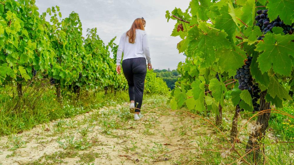 Itinéraire pédestre 